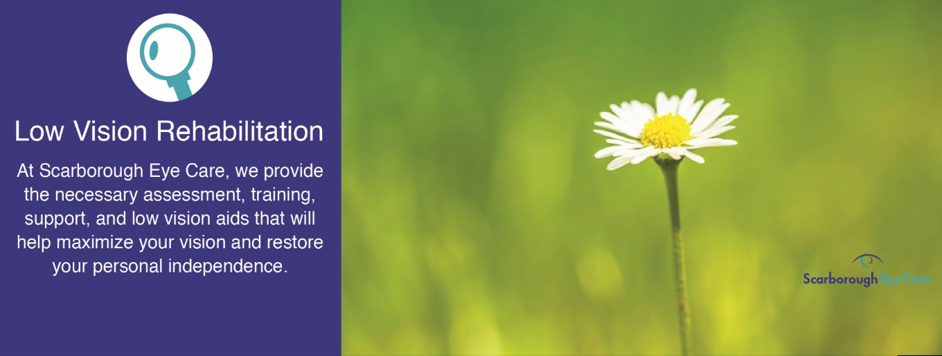 Scarborough Eye Care eyecare